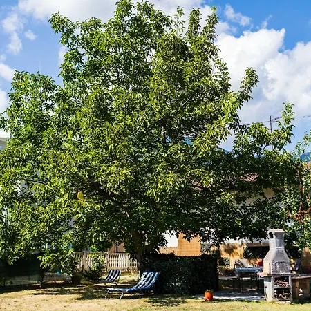 Da Zia Concetta, Immersa Nel * Colledara